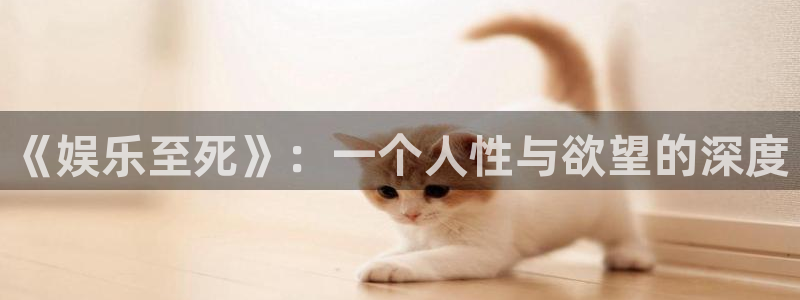 三牛娱乐
